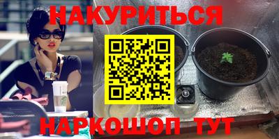 тгк Гусь-Хрустальный
