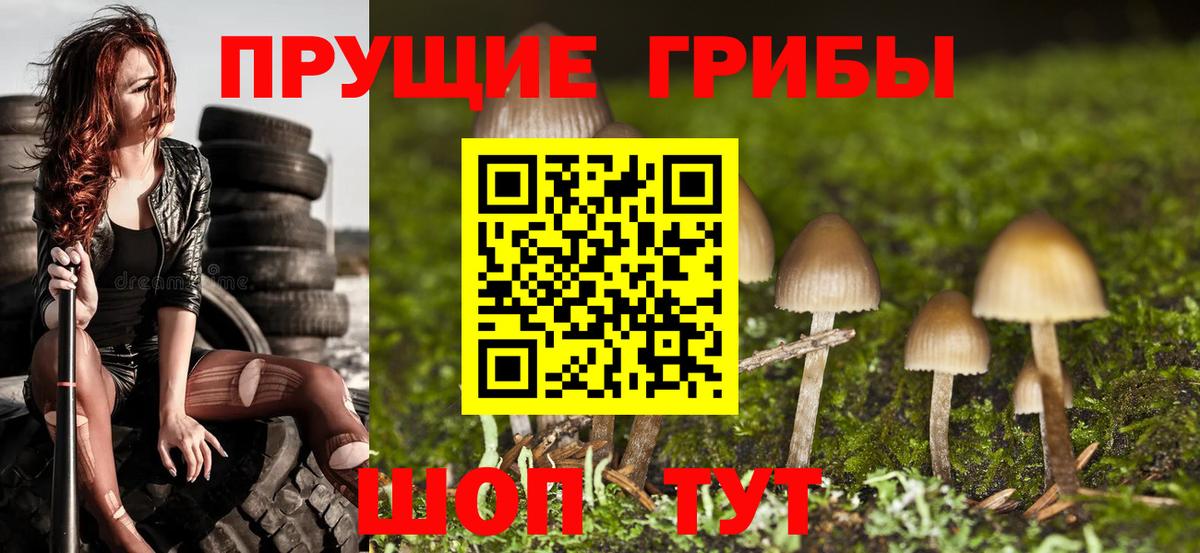 Псилоцибиновые грибы Psilocybine cubensis Орехово-Зуево